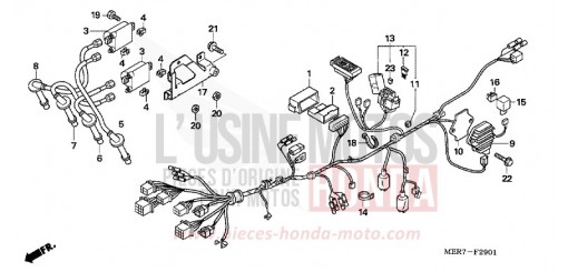 KABELBAUM (CBF600N6/NA6) CBF600NA6 de 2006